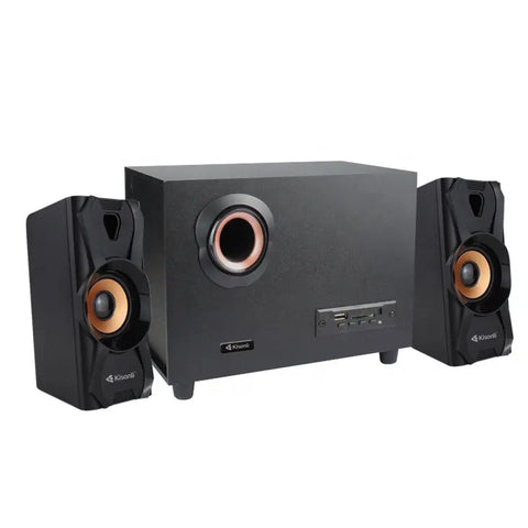 FT C10U Wooden Multimedia Speaker
